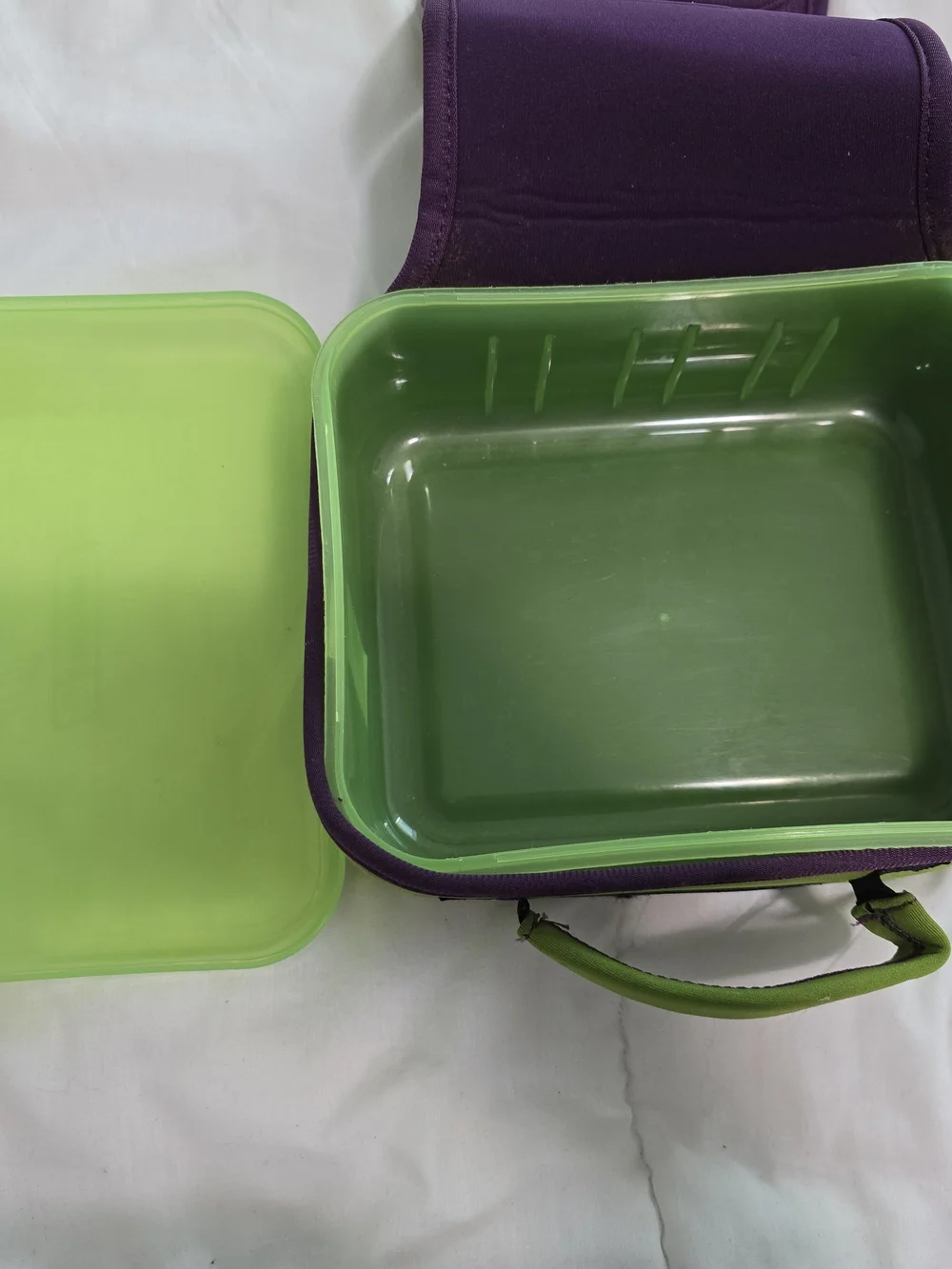 Nalgene Green & Purple Lunch Box/ Container